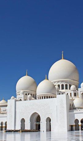 2D1N • 2-Day Abu Dhabi City Tour and Desert Safari with BBQ Dinner