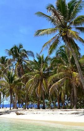 2D1N • 2D/1N San Blas Private Cabin with Bathroom, Meals & Island Tour