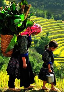 2D1N • Sapa Trekking Tours 2 Days 1 Night Stay At Homestay