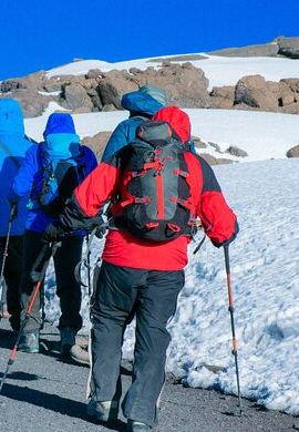 7D6N • Climb Mount Kilimanjaro in 7 Days 6 Nights Using Lemosho Route
