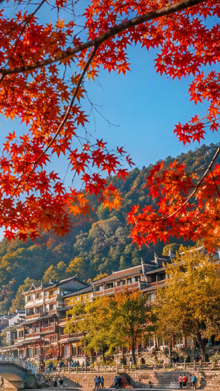 5D4N • In-depth Zhangjiajie & Fenghuang: 3 must-see attractions, 2 ancient towns, Glass Bridge & Miao costume - Immersive scenery & Xiangxi charm - Licensed 7–14 seat business vehicle & 5-diamond hotel