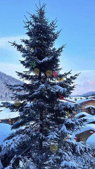 7D6N • Northeast Snow World, Changchun, Harbin, and Yabuli Snow Village: 5-Diamond Hotel, Private Tour Upgrade for Groups of 6, Gold Local Guide & Free 14-Piece Gift Pack