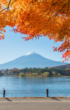 6 วัน 3 คืน • GO2HND-TG052 TOKYO ฟูจิ คาวาโกเอะ อุโมงค์ใบเมเปิ้ล 6D 3N โดยสายการบินไทย [TG]