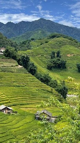 2D1N • From Hanoi: 2-Day Sa Pa Ethnic Homestay Tour with Trekking