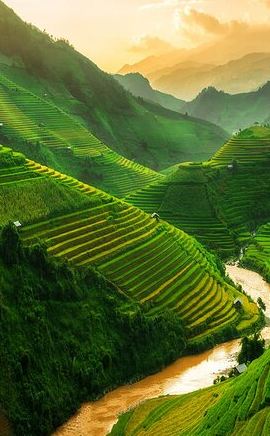3D2N • Sapa 3 Days Trek with 2 Nights Homestay