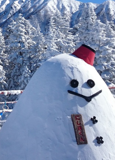 6 วัน 4 คืน • GO2NGO-TG098 OSAKA SHINHOTAKA ROPEWAY SNOW WINTER 6D 4N โดยสายการบินไทย [TG]