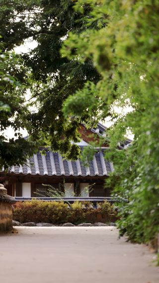 6D5N • South Korea + Busan + Gyeongju + Seoul: Visit Gamcheon Culture Village and experience an authentic Korean sauna in Busan, travel through Buddhist art in Gyeongju