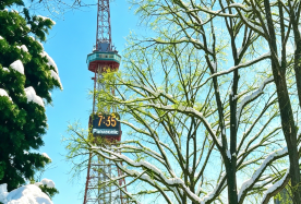8D7N · Private Tours · Hokkaido Story: Sapporo, Noboribetsu, Lake Toya, Furano, Kushiro, Japan, Bear Park, Noboribetsu Date Jidai Village, Lake Shikotsu,  Blue Pond, North Fox Farm, Otofuke Roadside Station · Hokkaido Story: Sapporo, Noboribetsu, Lake Toya, Furano, Kushiro, Japan,Bear Park, Noboribetsu Date Jidai Village,Lake Shikotsu,  Blue Pond, North Fox Farm, Otofuke Roadside Station