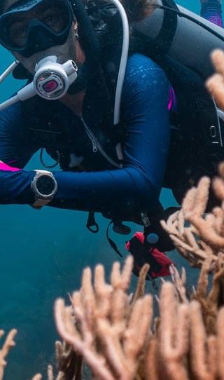 3D2N • PADI Open Water Diver | Learn to Dive in Tayrona