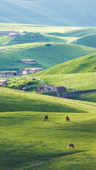 8D7N • Ili + Northern Xinjiang + Sayram Lake + Nalati Scenic Area + Kalajun National Park