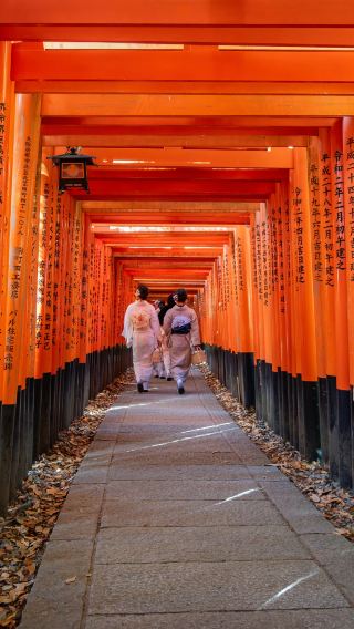 10D9N • Osaka + Kyoto + Tokyo + Mt. Fuji + Kamakura, Japan | 5-Star Hotel | Small Group Tour | Includes JR Shinkansen | Kiyomizu-dera Temple & Nara | Oshino Hakkai & Lake Kawaguchi & Kamakura | Airport Transfer Included