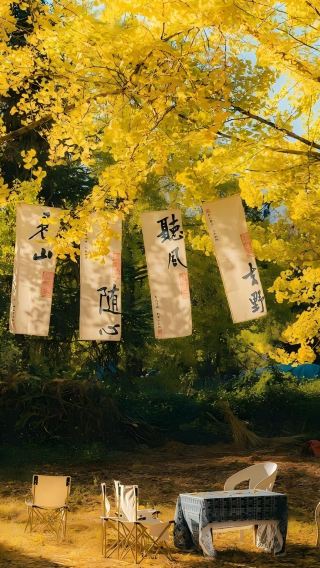 6D5N • Yunnan + Tengchong + Mangshi + Heshunguzhen + Menghuandajinta