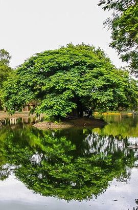 8D7N • Best of Kerala Tour (Exclusive Private tour)