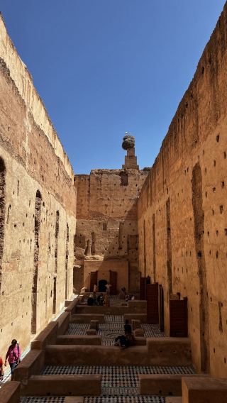 8D • Morocco