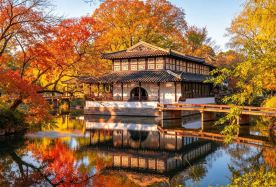 11D10N · Private Tours · Beijing & Shanghai & Suzhou: Forbidden City - Great Wall - Disneyland - English-Speaking Guide & Private Car & Private Transfer Included · Discover China's diverse wonders - from imperial palaces to Disney and classical gardens. Enjoy private guided tours plus free days to explore on your own.