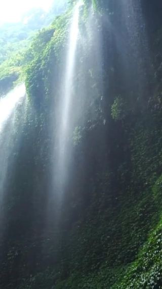 3D2N • Yogyakarta: Open trip to Bromo & Ijen, Bali transfer