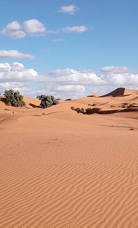 3D2N • Private 3-Day Luxury Sahara Trip from Marrakech by 4x4