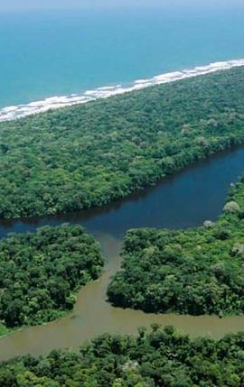 3D2N • Tortuguero + Pacuare (3 Days / 2 Nights)