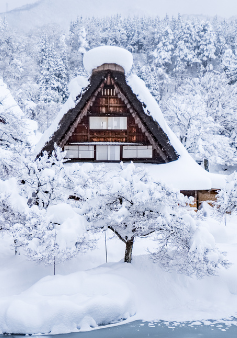 7 วัน 4 คืน • TAKAYAMA SHIRAKAWAGO TOKYO WINTER & NEW YEAR โดยสายการบินไทย [TG]