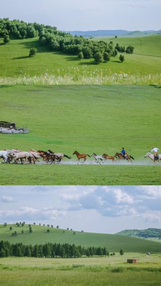 4天3晚 • 1晚古典行宮＋1晚草原君瀾「越野穿越草原＋實景馬術」經典環線＋鄂溫克馴鹿｜金山嶺長城＋山莊大咖精講