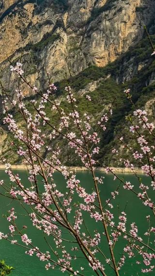 7D6N • Victoria Cruises — Wuhan + Yangtze River Three Gorges + Chongqing + The Three Gorges Dam Tourism Area