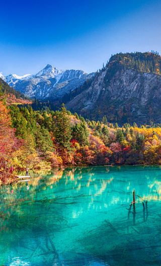 9D8N • World Heritage Sichuan: Jiuzhaigou, Huanglong, Emei & Leshan - plus pandas, Sanxingdui & Dujiangyan