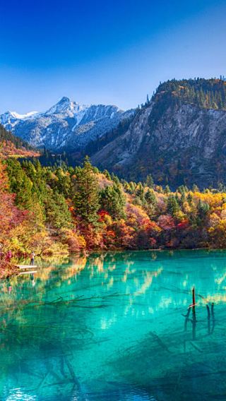 8D7N • All-inclusive 4 UNESCO Sichuan tour: Chengdu, Panda, Jiuzhaigou, Huanglong, Leshan Giant Buddha, Mount Emei - Airport Transfer, High-Speed Rail & Full Tickets Included
