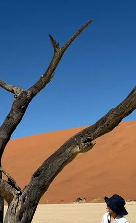 3D2N • 3-Day Sossusvlei & Deadvlei Shared Desert Tour from Windhoek