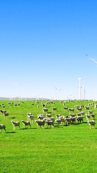 3D2N • Inner Mongolia Hohhot + Huitengxile Grassland + Wulanhada Volcano Geopark