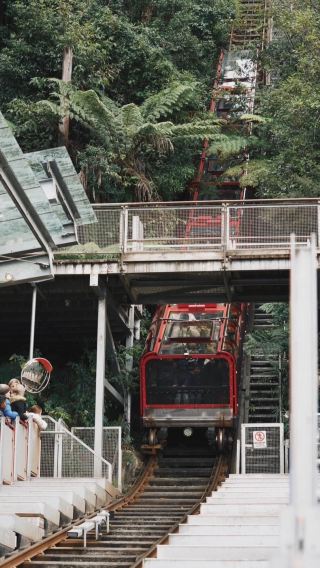 6D5N • Australia + Sydney + Blue Mountains National Park + Sydney Fish Market