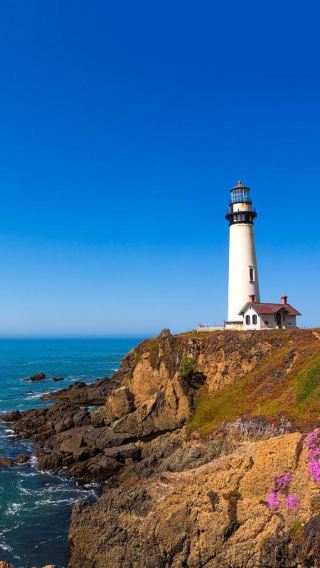 7D6N • Los Angeles + California Highway 1 + Carmel-by-the-Sea + Solvang + Santa Monica Beach + San Francisco