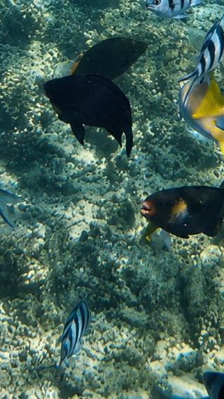 3D2N • 3-Day 2-Night Group Boat Expedition from Coron to El Nido