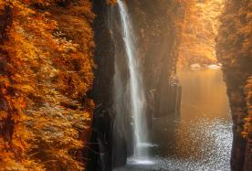 2D · Group Tours · Japan Kyushu Kumamoto · Takachiho Gorge 2-day tour · Accommodation not included · Departs with 1 person · Daily departures · Join a daily group tour (solo travelers welcome), visit Kumamoto Castle—one of Japan's Three Famous Castles—step into the real‑life "Flame Forest" at Tanihikino Shrine, and travel with Chinese‑, English‑, or Japanese‑speaking guides for smooth communication.