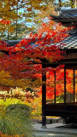 6D5N • Japan + Osaka + Kyoto Free customized itinerary revision if you are unsatisfied with the trip plan