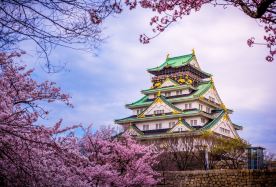 4D3N · Group Tours · Japan + Osaka + Kyoto + Nara City · One‑click booking for a twin room with breakfast and private airport transfer included; visit Arashiyama (leisurely stroll), Kinkaku‑ji, and Nara Park—sightseeing only, with no shopping stops.
