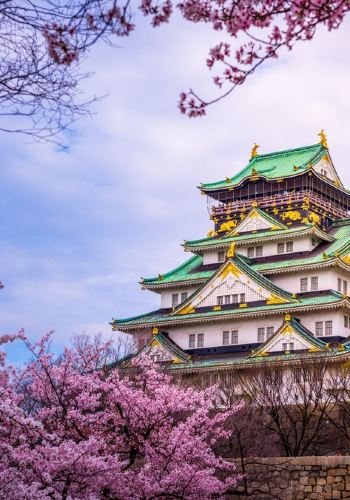 6D5N • Japan + Osaka + Kyoto + Mount Fuji + Tokyo