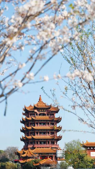 2天1晚 • 江城武漢 純玩小團 夜遊長江遊船，遊覽黃鶴樓，湖北省博物館「贈耳麥導覽 代約」專車接送機