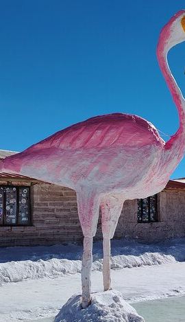 3D2N • 3-Day Tour in Salar de Uyuni
