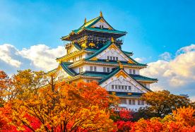 7D6N · Private Tours · Japan private tour - Osaka + Kyoto + Nara + Mie four-city itinerary: Kiyomizu-dera, Kinkaku-ji, Arashiyama Togetsukyo Bridge, Byodo-in Phoenix Hall · Japan private tour - Osaka + Kyoto + Nara + Mie four-city itinerary: Kiyomizu-dera, Kinkaku-ji, Arashiyama Togetsukyo Bridge, Byodo-in Phoenix Hall