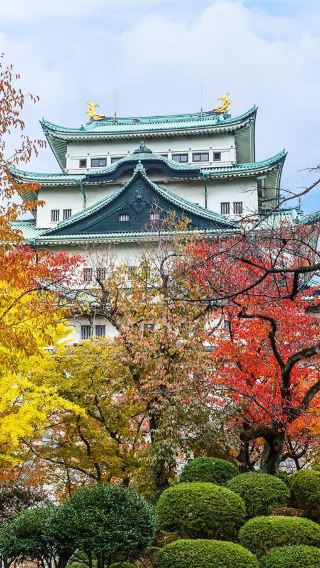 5D4N • Spring Summer Chubu Escape: Old Castle Town Stroll Experience + Onsen&City Hotel Accommodation Hisaya Odori Park Landmarks Ghibli Theme Park Highlight