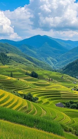 4박5일 • 구이린 · 양숴 · 룽지티톈(용척제전): 리장 4성급 유람선+룽지티톈(용척제전)+상공산+100년 된 푸리치아오+시제(서가)+위룽허 대나무 뗏목&강변 애프터눈 티 증정