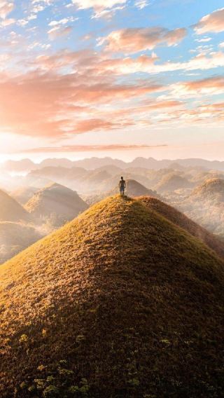 4D3N • Philippines Cebu + Bohol Island + Viral Virgin Island with Bohol Island Dolphin Watching, Encounter Sea Turtles, Dinner at the Viral Cliffside Restaurant at Bee Farm, and Firefly Tour (Accommodation Not Included)