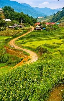 2D1N • Sapa trekking 2days by bus from Hanoi ( over night in homestay)