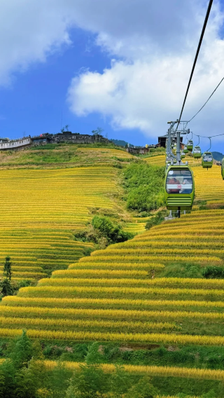 6D5N • Guilin + Longji + Yangshuo: Li River 3-star cruise Xingping section + Longji Rice Terraces includes one-way cable car + Yulong River multi-passenger bamboo rafting + Dongli Ancient Village  