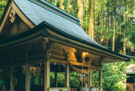 2D1N · Private Tours · Japan + Kumamoto City Consult customer service for free online customization · Depart from Fukuoka to Kumamoto Castle, Mt. Aso, Kusasenri, Uenomaru Kumanoza Shrine, Amanoiwato Shrine, and Takachiho Gorge; accommodation not included; free cancellation up to 3 days in advance