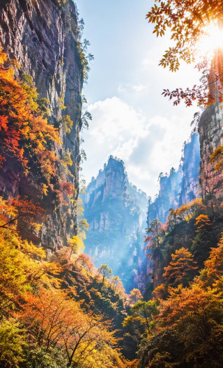 5D4N • Changsha to Zhangjiajie & Fenghuang: 3 must-sees, 2 ancient towns & Miao costume - scenery, thrills & Xiangxi charm - easy Changsha access - licensed 7–14-seat business vehicle & 5-diamond hotel
