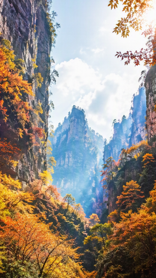 5D4N • Changsha to Zhangjiajie & Fenghuang: 3 must-sees, 2 ancient towns & Miao costume - scenery, thrills & Xiangxi charm - easy Changsha access - licensed 7–14-seat business vehicle & 5-diamond hotel