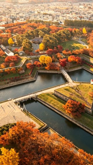 7天6晚 • 日本|北海道、洞爺湖、函館、小樽、札幌秋日賞楓
