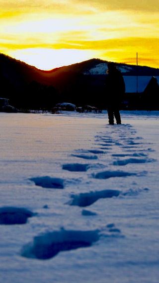 6D5N • Harbin + Xuexiang National Forest Park