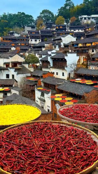 4D3N • Vagoo Scenic Area + Sanqingshan Mount Scenic Area + Wuyuan